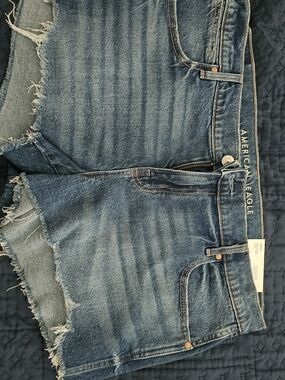 American Eagle Outfitters Blue Denim Shorts with Frayed Hem